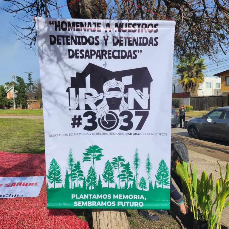 1 de julio 2023 Plantacion primer arbol (16)