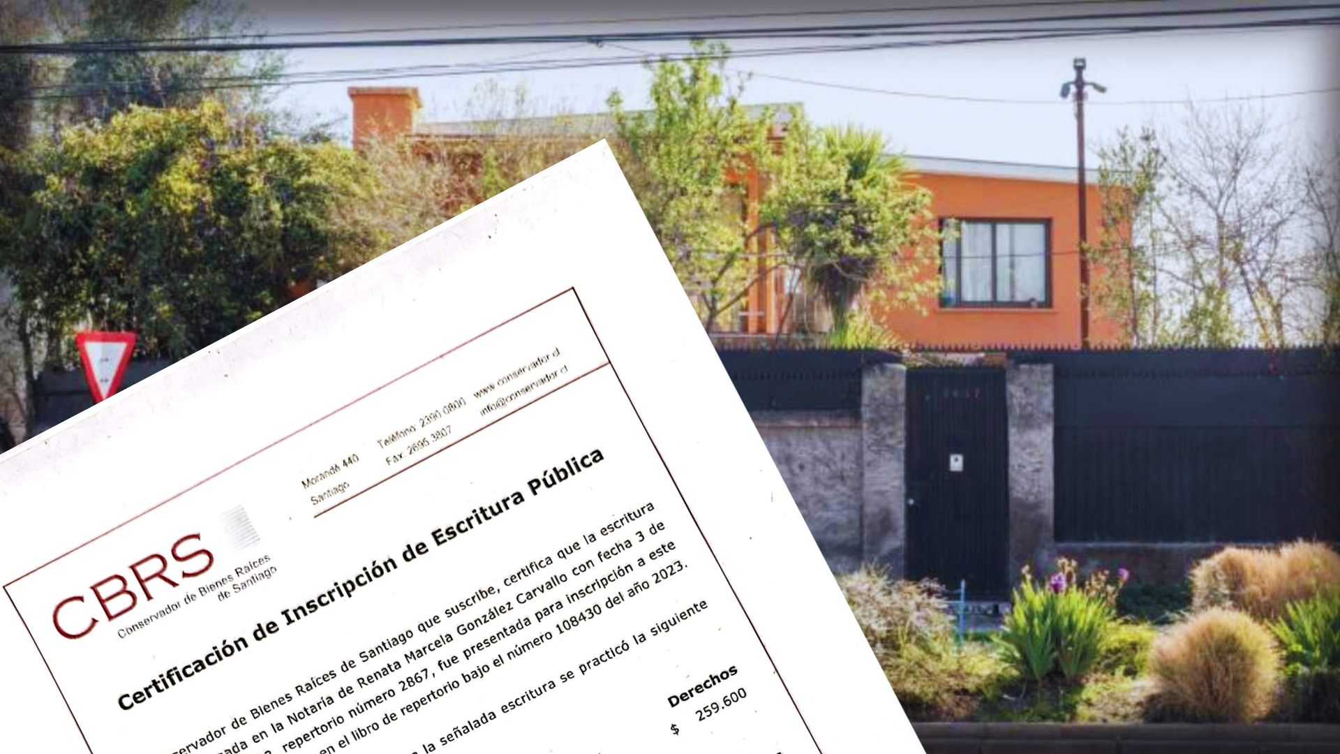 Diseno-sin-titulo-75