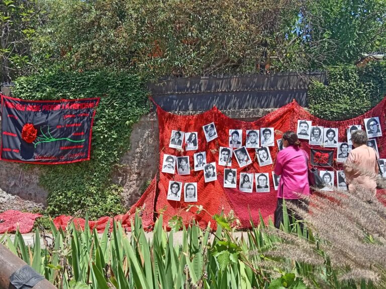 WhatsApp-Image-2023-12-13-at-16.51.59