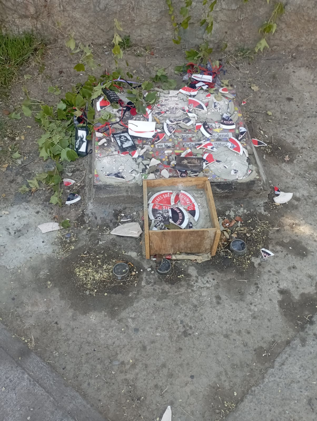 WhatsApp Image 2024-01-22 at 18.21.27