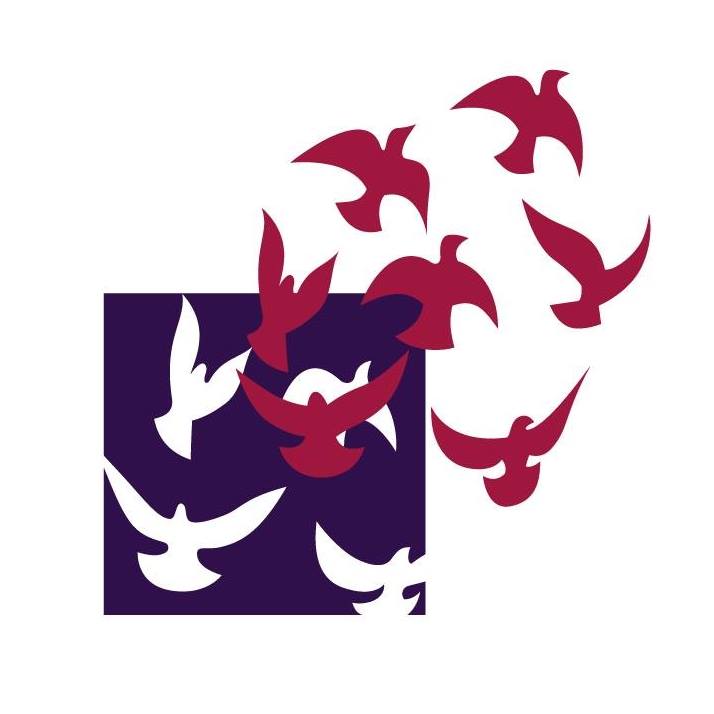 309110554_551244613668247_2252463256929545401_n