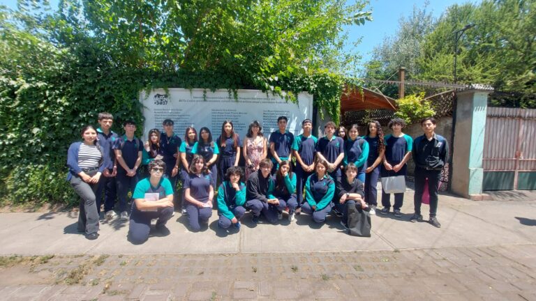 WhatsApp Image 2024-11-28 at 19.31.00