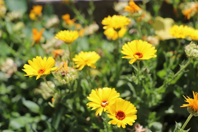 WhatsApp Image 2025-10-13 at 12.54.52