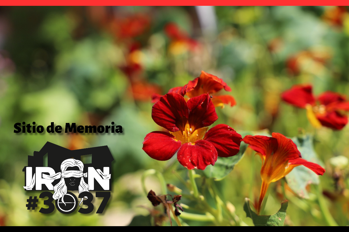 Diseño sin título (29)