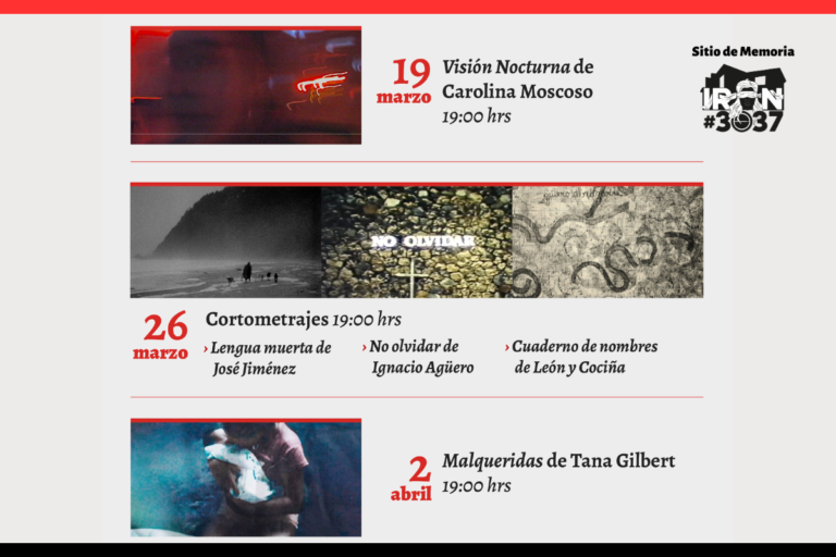 Diseño sin título - 2026-03-15T213812.788